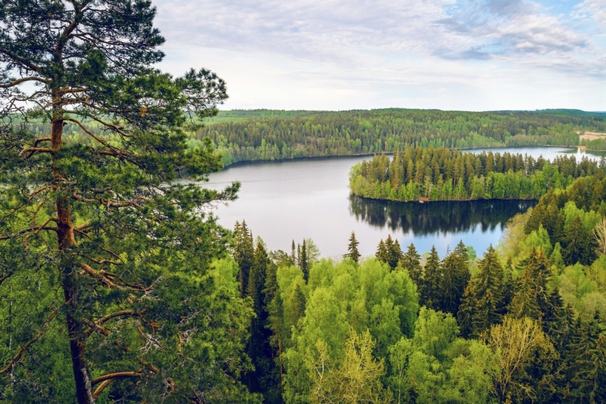 Valtioneuvoston selonteko Hiilineutraali Suomi 2035 -kansallinen ilmasto- ja energiastrategia