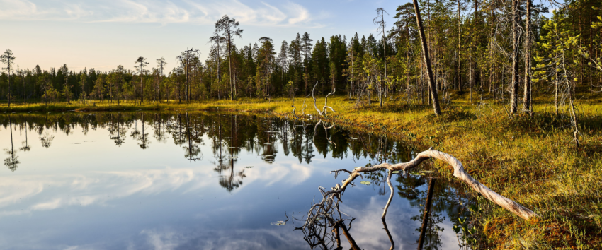 Luonnon monimuotoisuus -koulutus